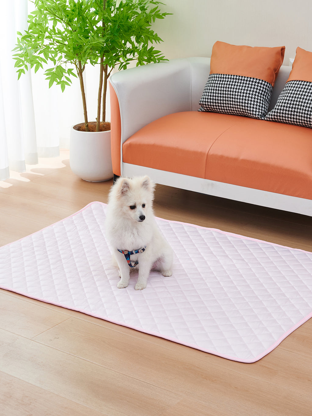 Selbstkühlende Hundematte – Wasserdichte Kühlmatte für Hunde