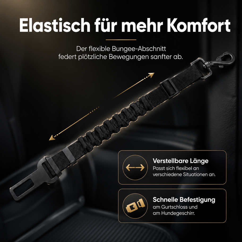 2-Hunde Sicherheitsgurt-Set