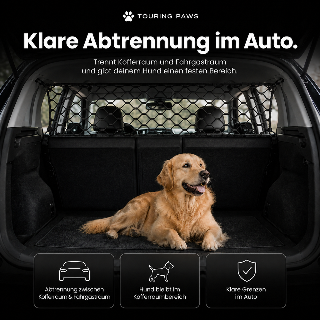 Auto Sicherheitsnetz