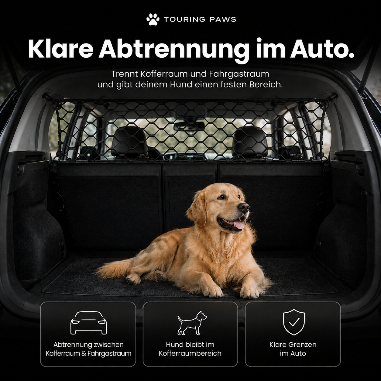 Auto Sicherheitsnetz